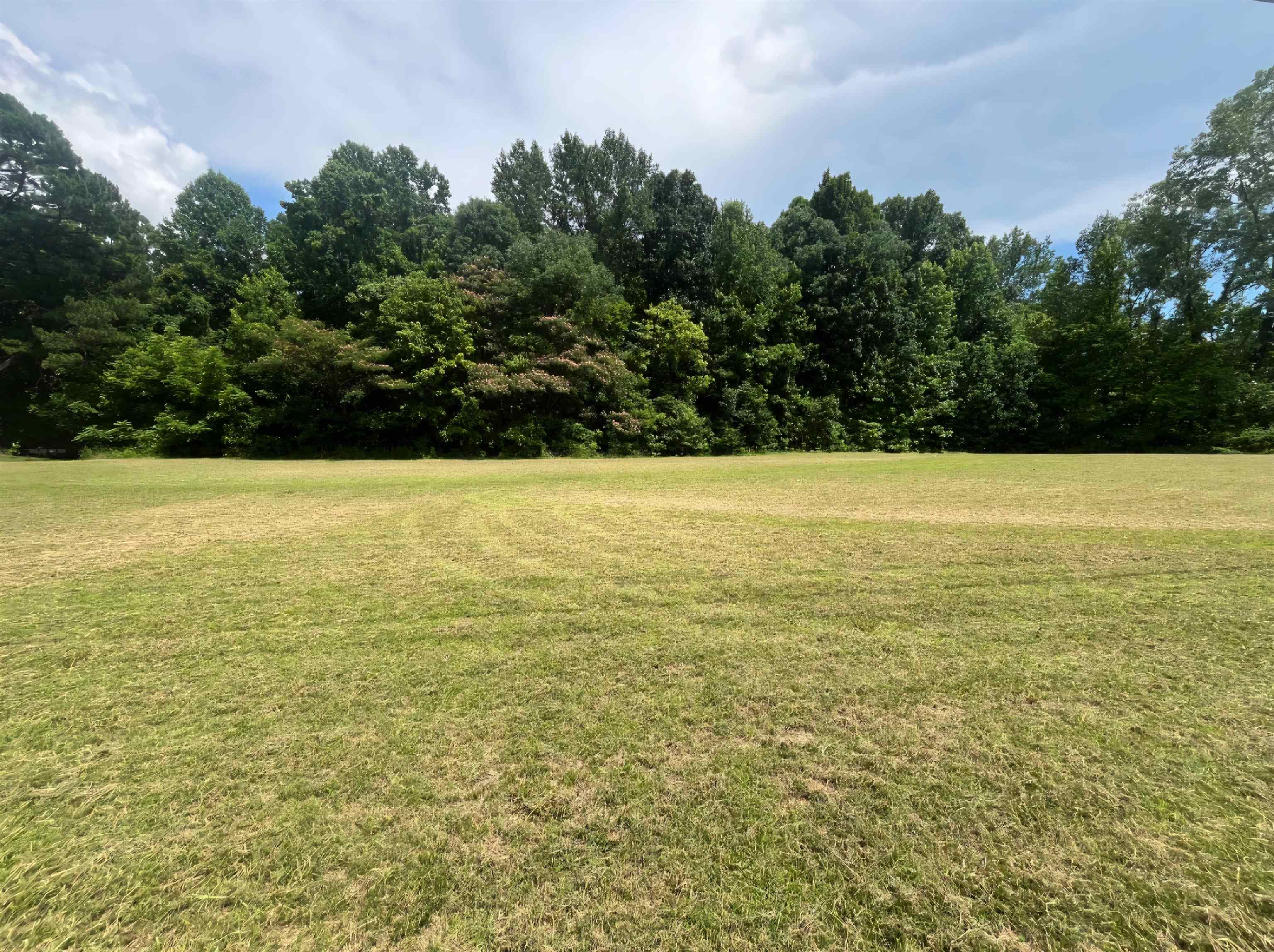 0 Grimes Road Drummonds, TN 38023 - Photo 1 of 3