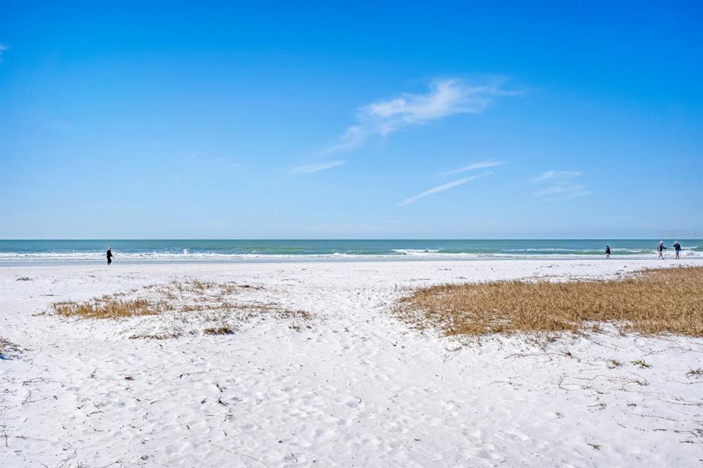 2213 Wason Road, Unit 1 Sarasota, FL 34231 - Photo 45 of 46