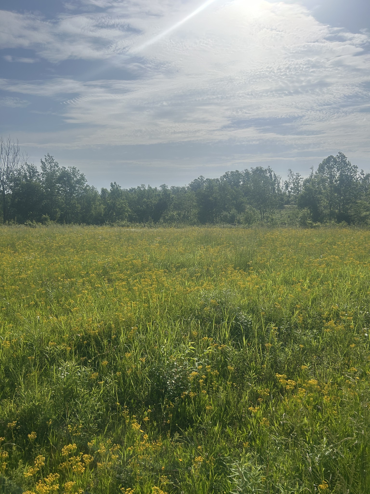 2047 Buffalo Road Hohenwald, TN 38462 - Photo 17 of 25 a view of an ocean and mountain
