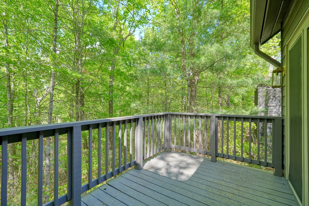 230 Chestnut Rise Trail Big Canoe, GA 30143 - Photo 4 of 45 a view of balcony with wooden floor