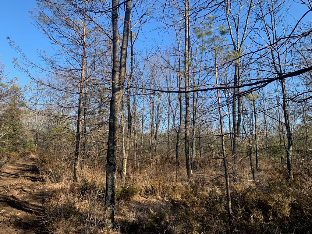 Lot 2 County Road Ephraim, WI 54211 - Photo 1 of 1