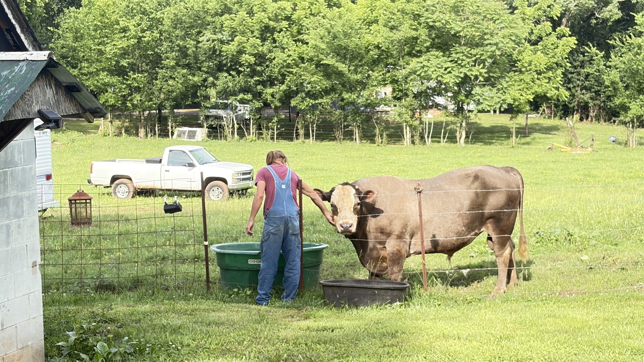 1260 Eaton Road Sparta, TN 38583 - Photo 49 of 50