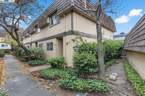 front view of a house with potted plants