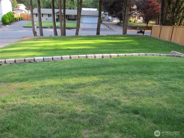 a view of a park with large trees