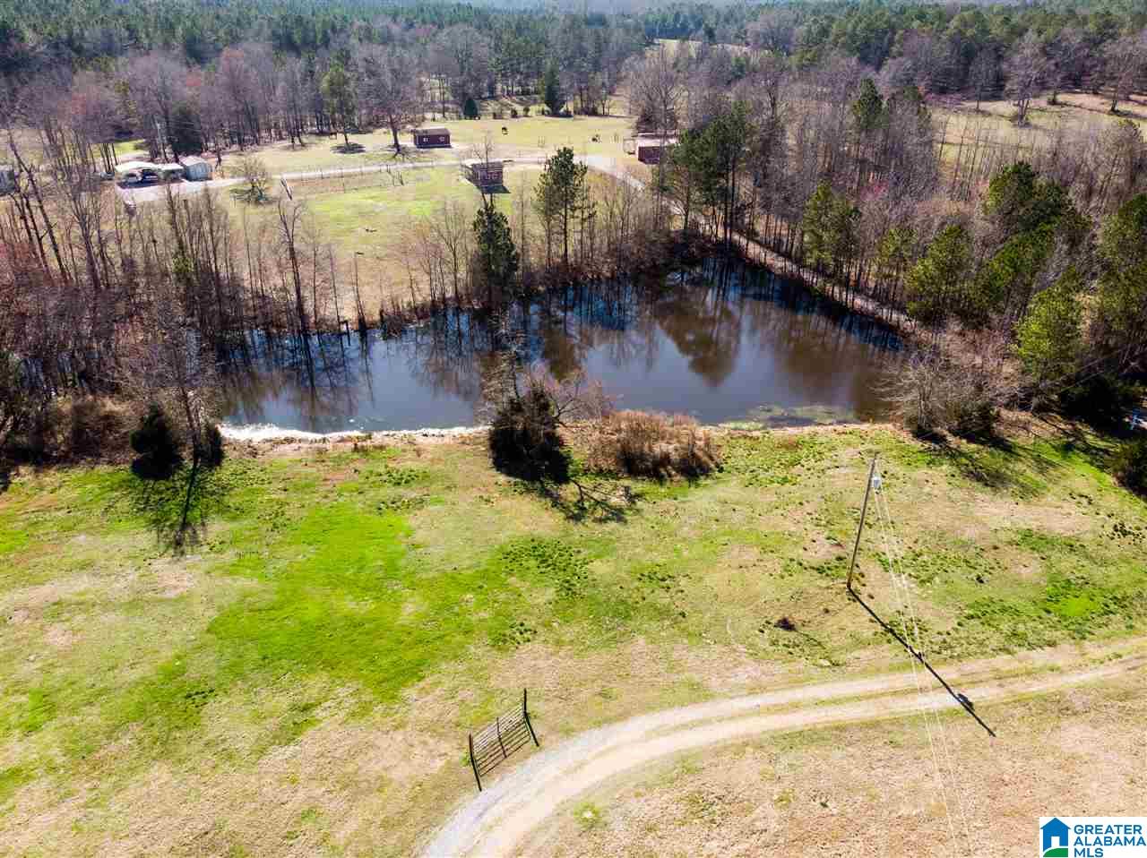 1430 Dripping Rock Road Piedmont, AL 36272 - Photo 16 of 41