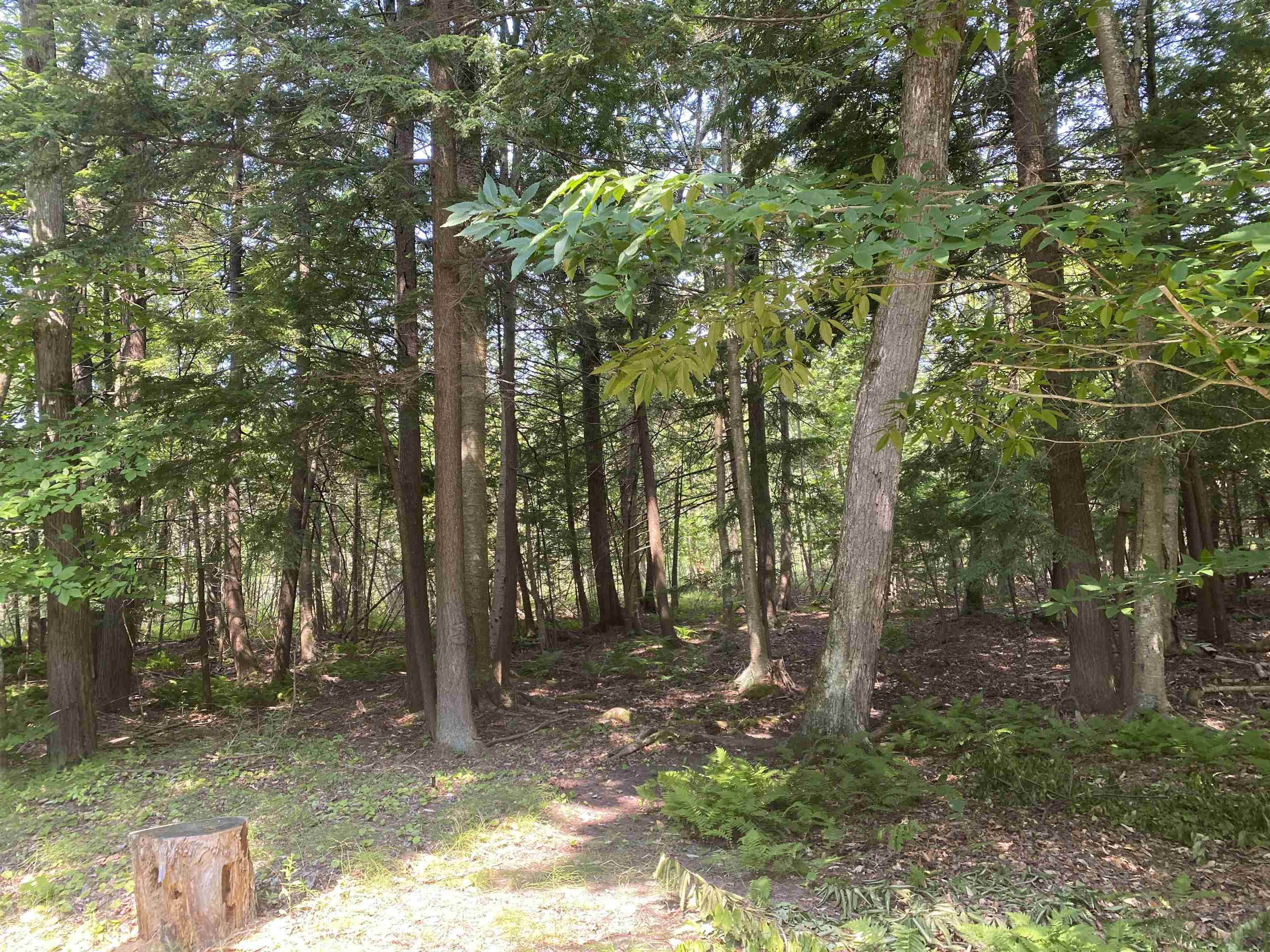 3549 River Road Frankfort, MI 49635 - Photo 14 of 17