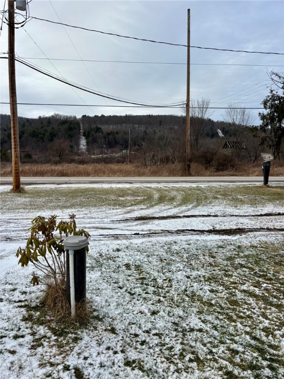 4900 Meads Creek Road Campbell, NY 14870 - Photo 19 of 21