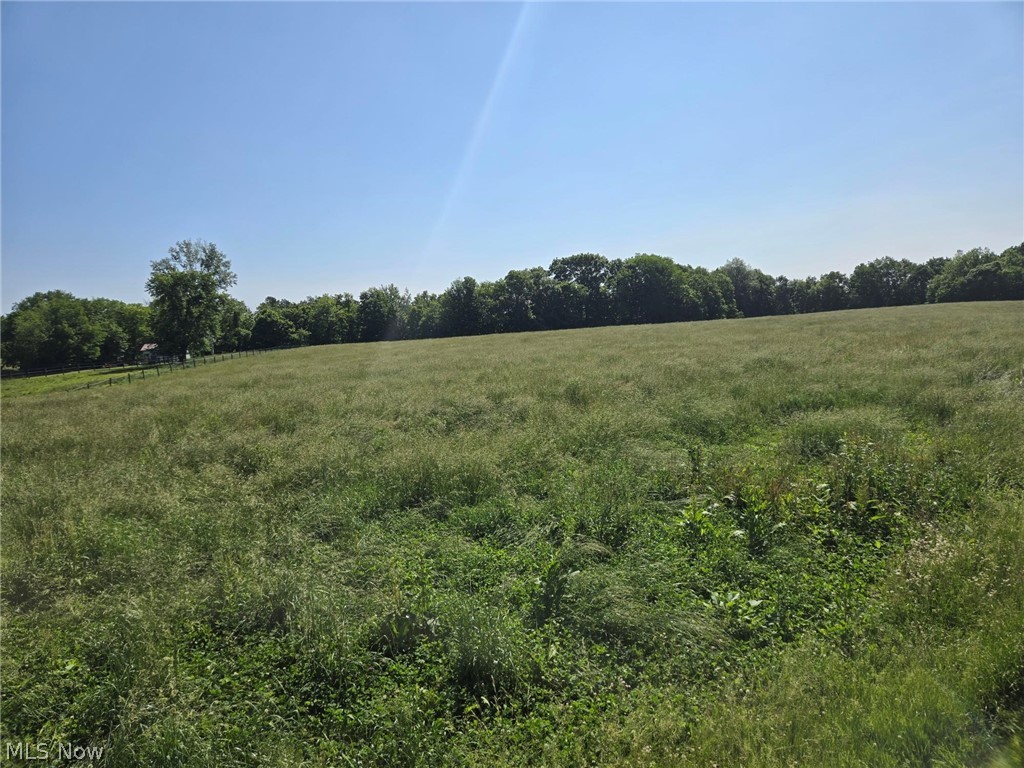 5209 Hanson Hill Road Stockport, OH 43787 - Photo 43 of 44 Hay Field