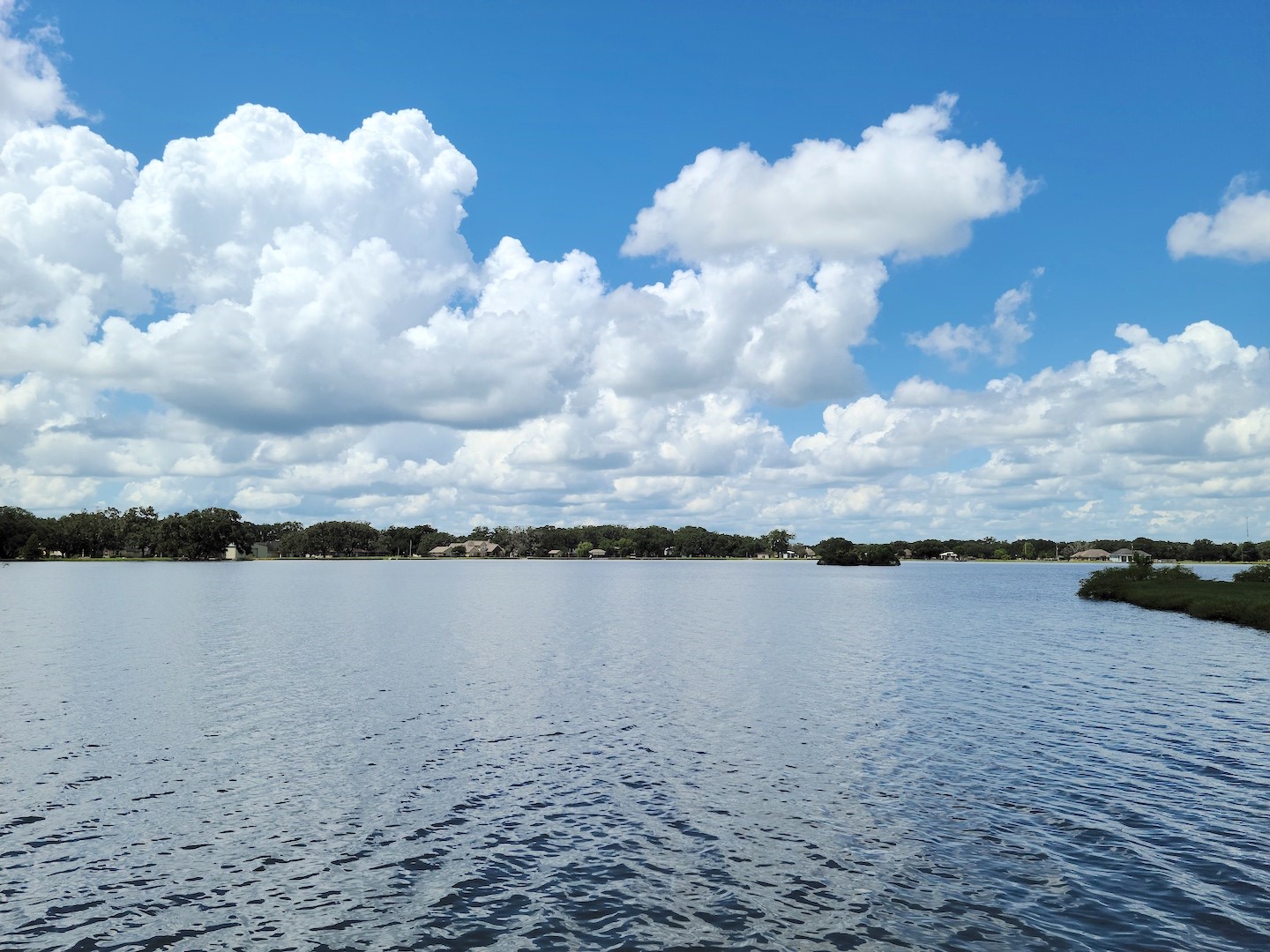 Lot 46 Brahman Trail Angleton, TX 77515 - Photo 8 of 15 a view of ocean with beach