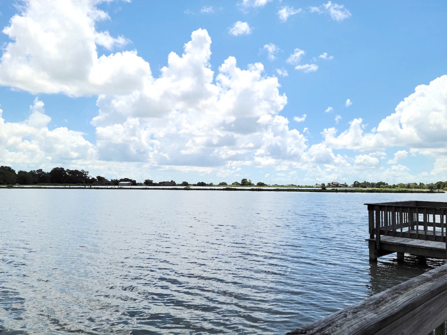 Lot 46 Brahman Trail Angleton, TX 77515 - Photo 9 of 15 a view of a lake from a terrace
