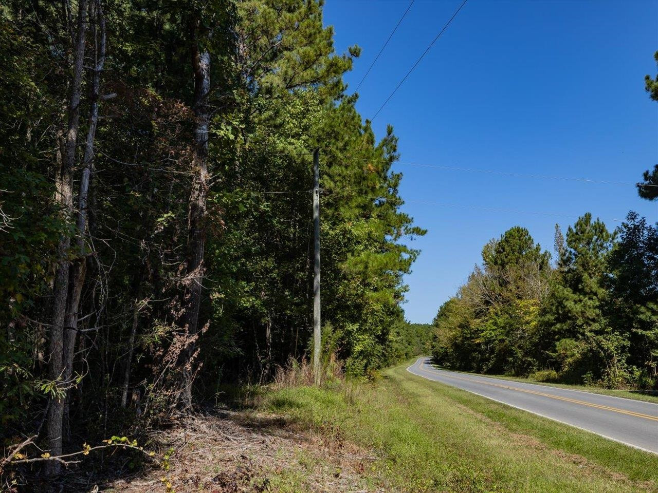 667 Emerson Cook Road Pittsboro, NC 27312 - Photo 22 of 24 Photo 22