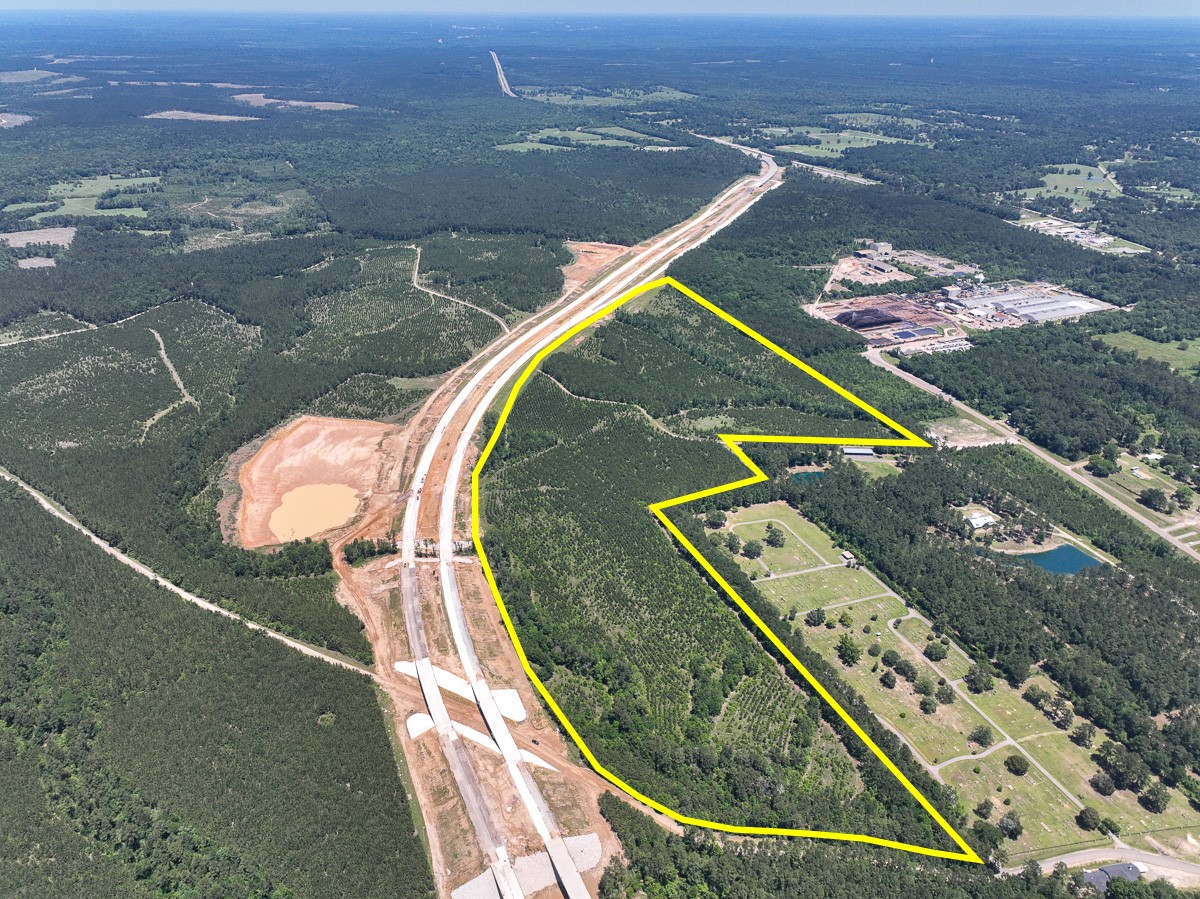 17 Union Springs Road Corrigan, TX 75939 - Photo 1 of 8 an aerial view of a house