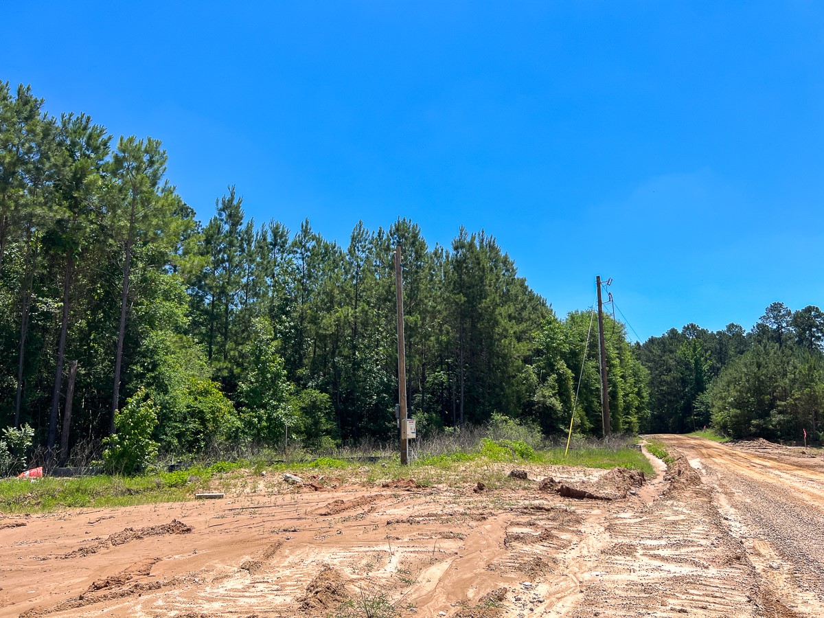 17 Union Springs Road Corrigan, TX 75939 - Photo 7 of 8 a view of a yard with a tree