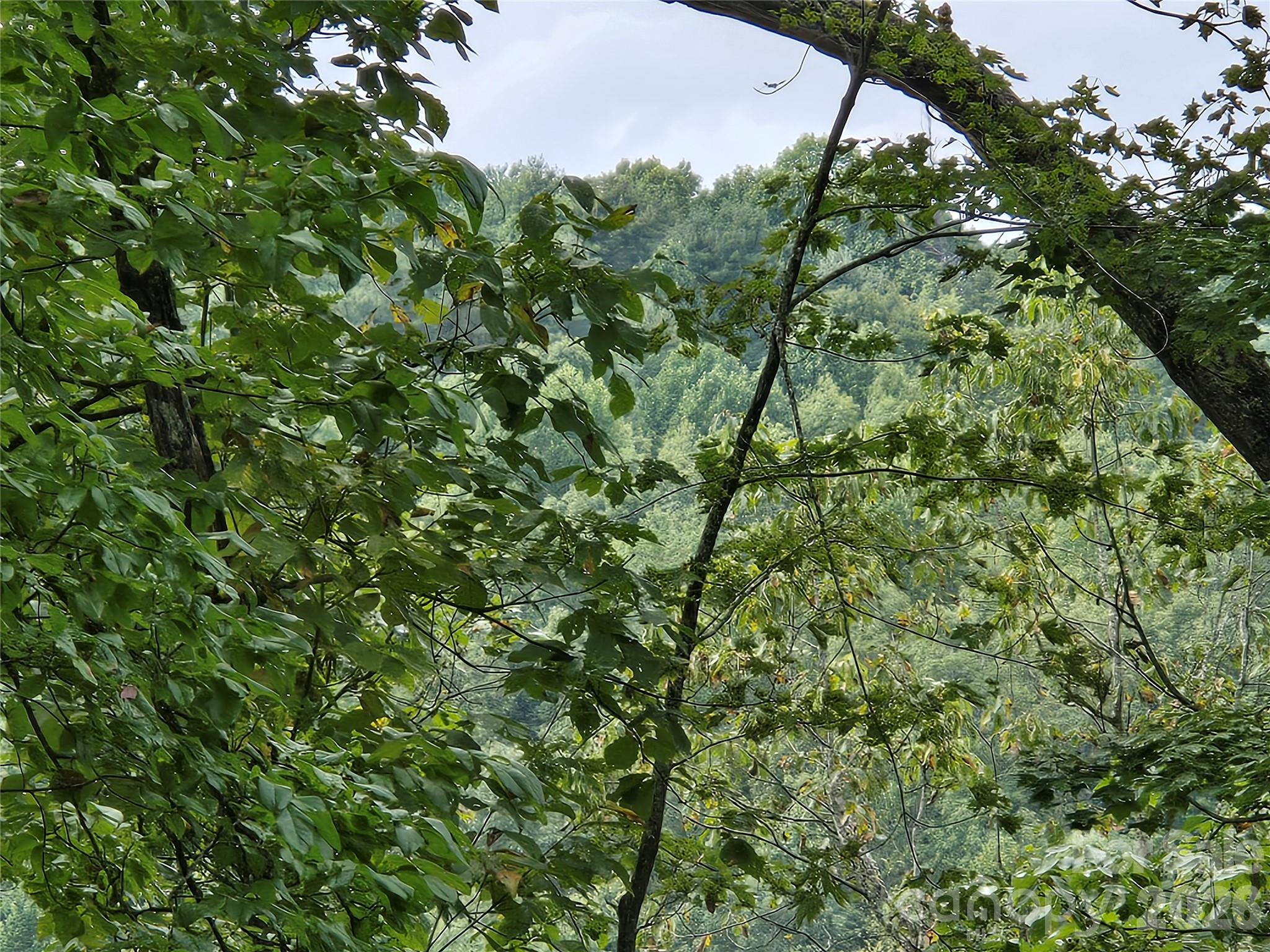303 Ladd Ridge Road Rosman, NC 28772 - Photo 15 of 32 Gallery Image 15