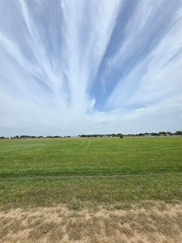a view of a field with an ocean