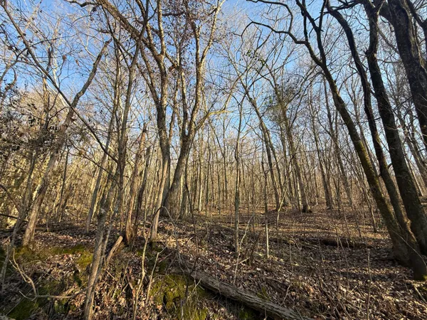 $189,000 | 0 County Road 91, Stevenson, AL 35772