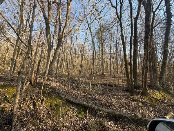 $189,000 | 0 County Road 91, Stevenson, AL 35772