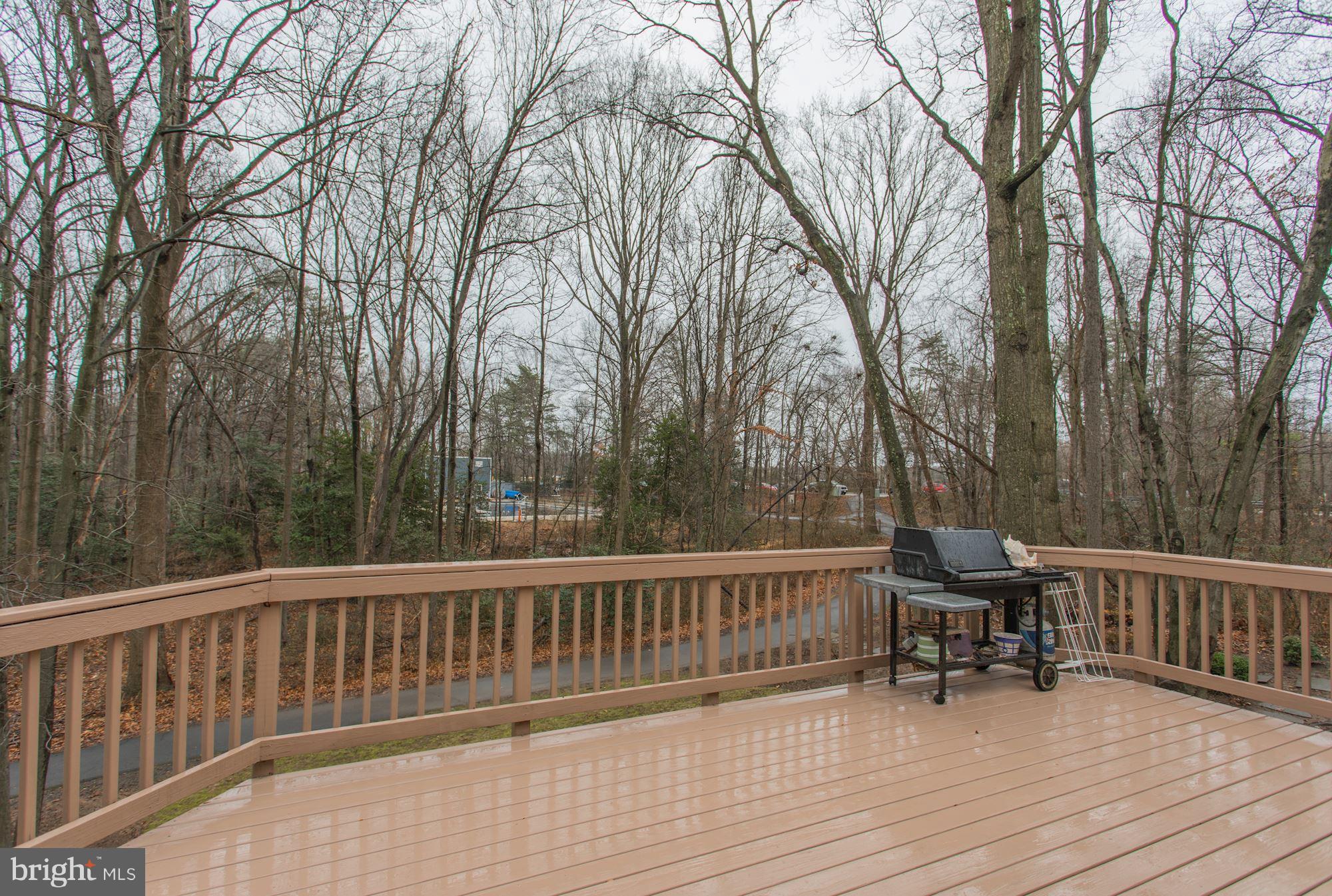 2079 Amberjack Court Reston, VA 20191 - Photo 25 of 30 Exterior (Rear)