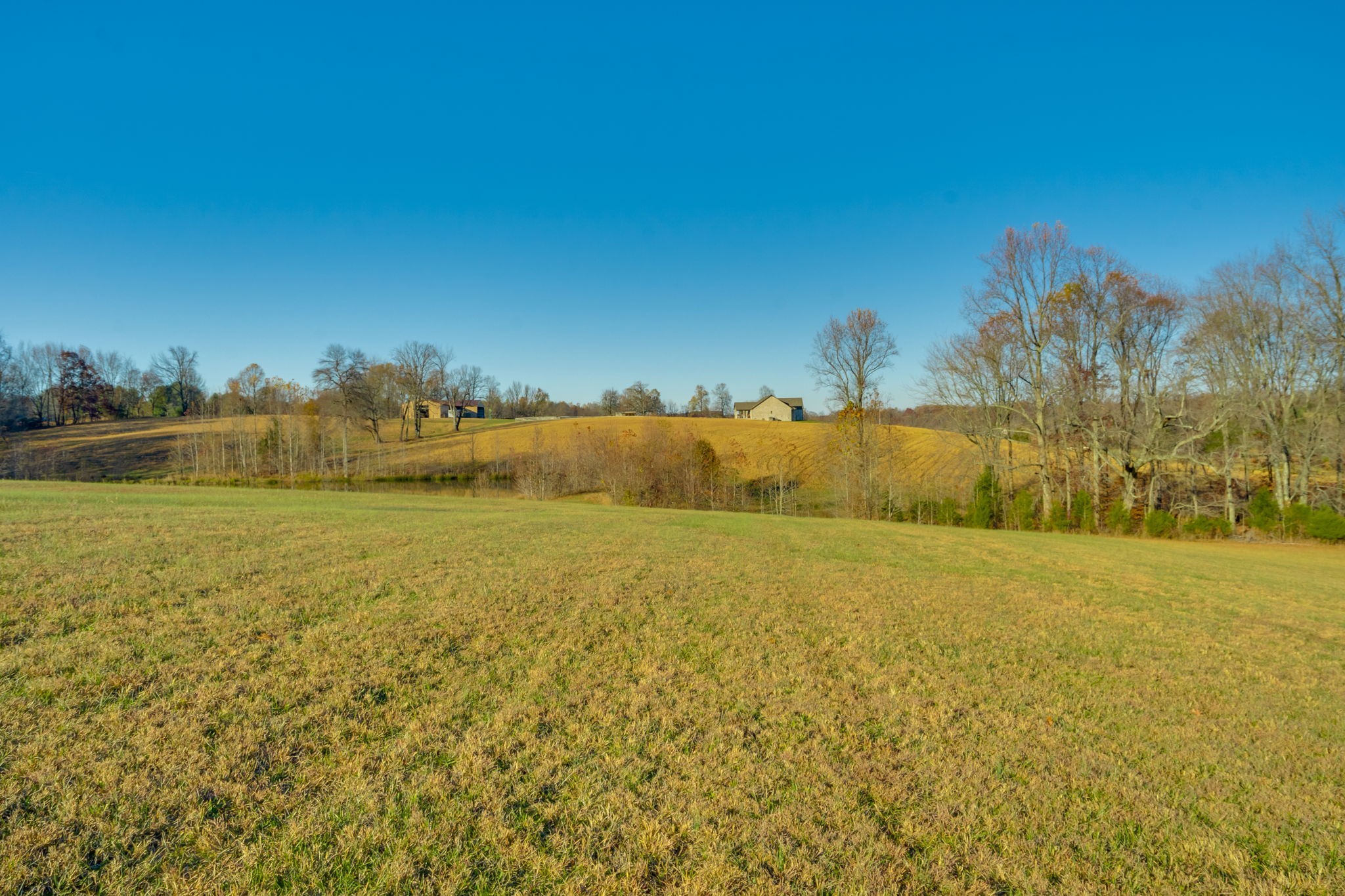609 Womack Road Bethpage, TN 37022 - Photo 1 of 14 a view of an ocean