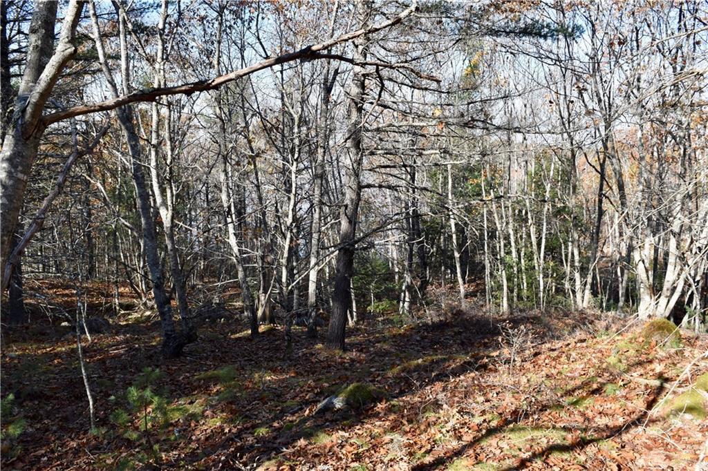 360 Webber Road Georgetown, ME 04548 - Photo 6 of 11 Photo