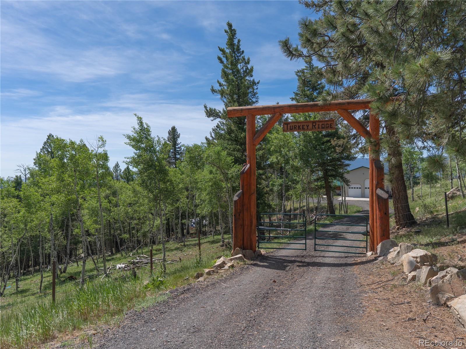 150 Summit Drive Bailey, CO 80421 - Photo 46 of 48