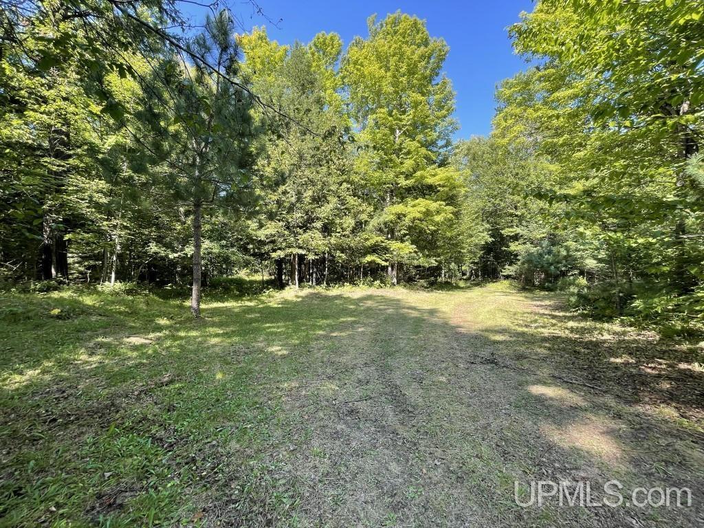 19023 Collins Road Lanse, MI 49946 - Photo 10 of 20 Gallery Image 10