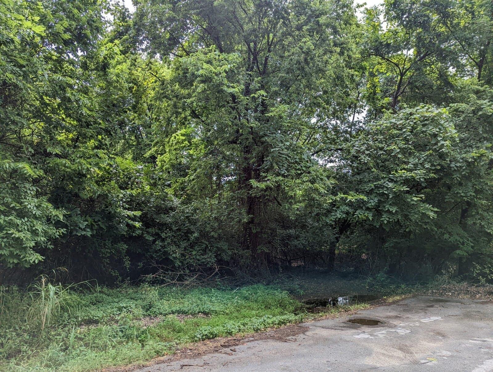 0 Highland Acres Springfield, MO 65803 - Photo 2 of 7 304821357_476586817419572_29092358450320