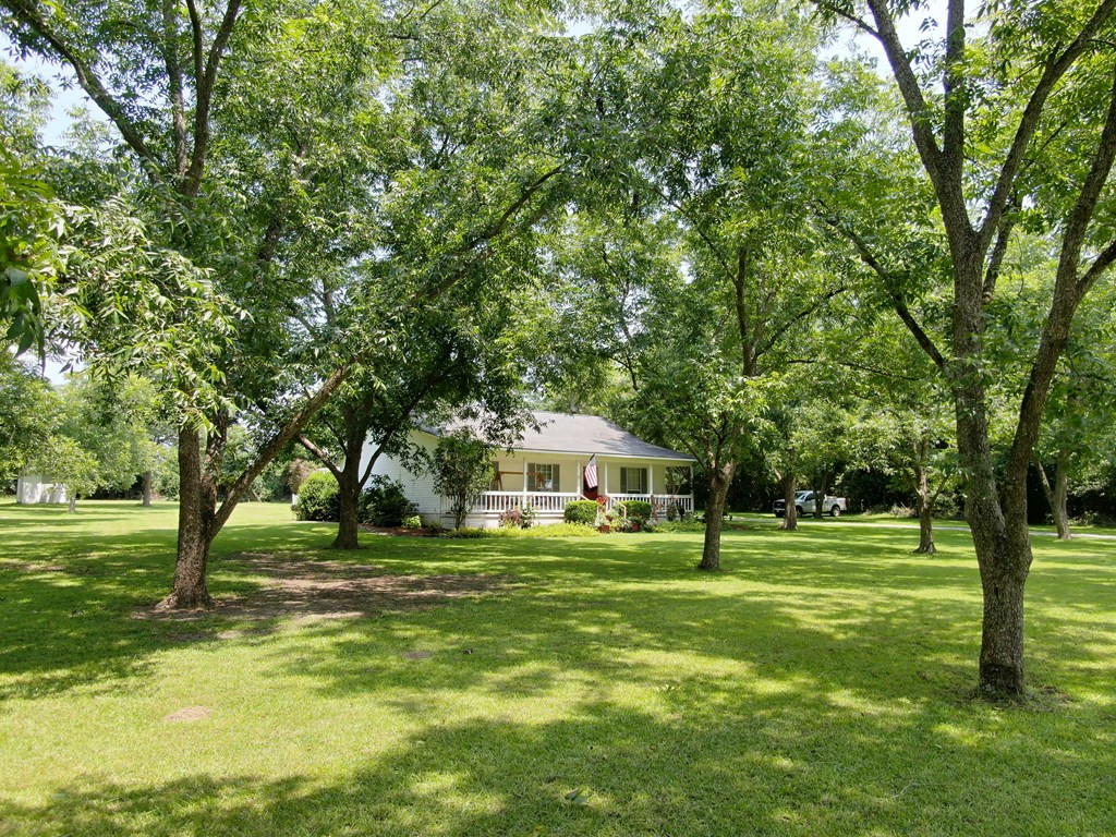 2469 Stoney Bluff Road Girard, GA 30426 - Photo 8 of 32 Gallery Image 8