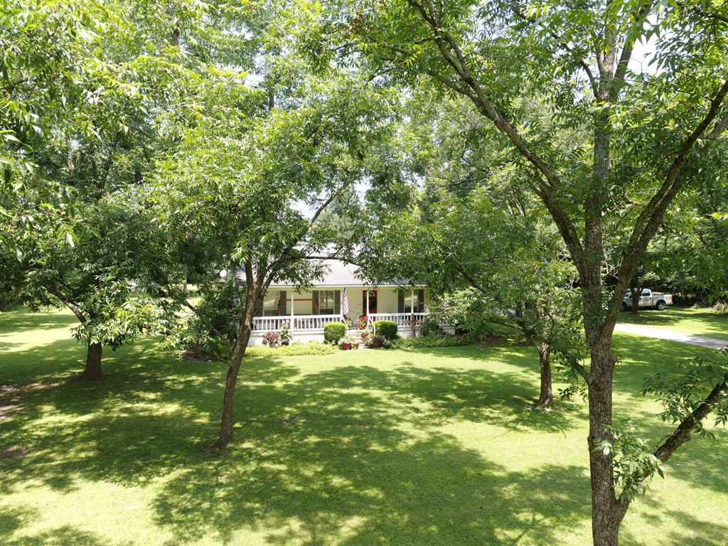 2469 Stoney Bluff Road Girard, GA 30426 - Photo 9 of 32 Gallery Image 9