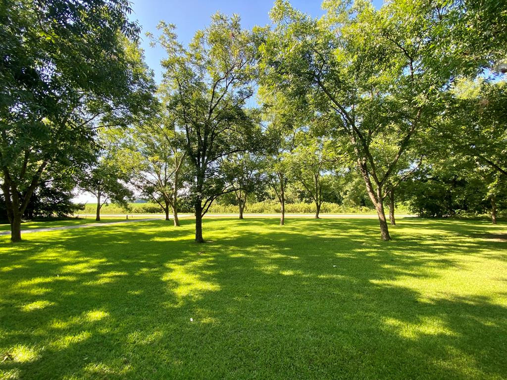 2469 Stoney Bluff Road Girard, GA 30426 - Photo 10 of 32 Gallery Image 10