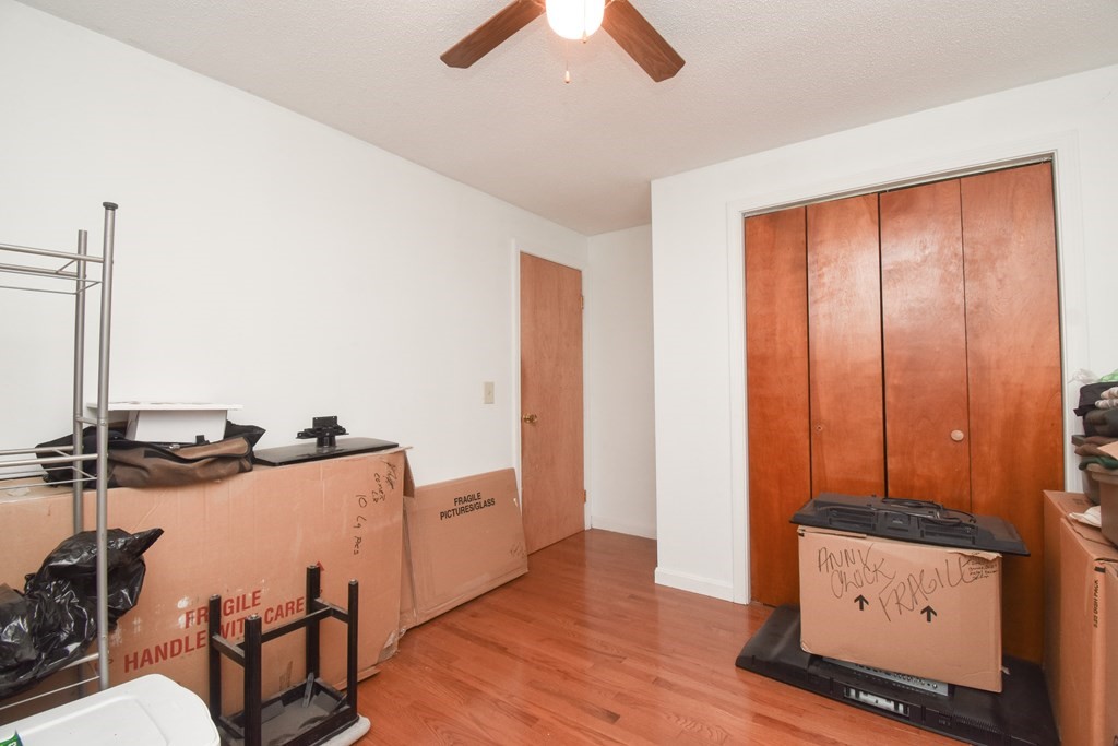 19 Humbert Street Springfield, MA 01109 - Photo 19 of 42 Gallery Image 19