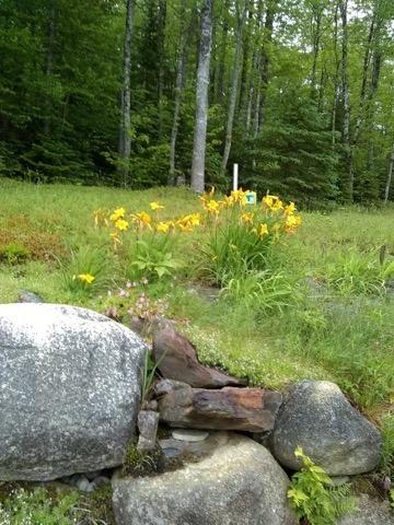 4522 Airline Road Wesley, ME 04686 - Photo 7 of 34 04