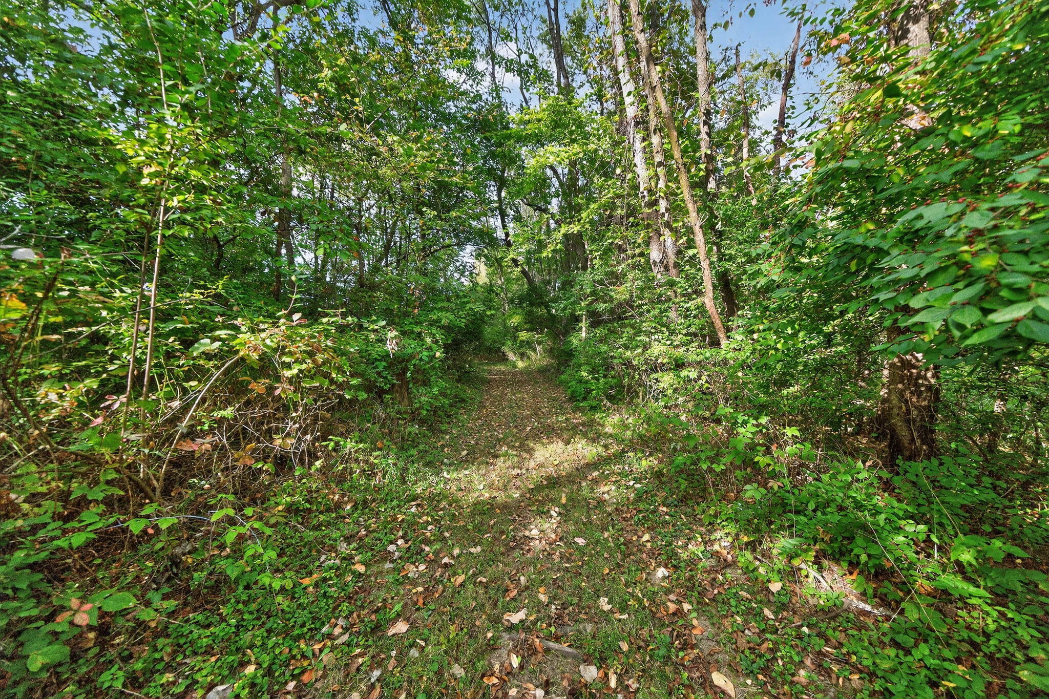 2314 Hand Road Niles, MI 49120 - Photo 65 of 73 2314 Hand Rd-42
