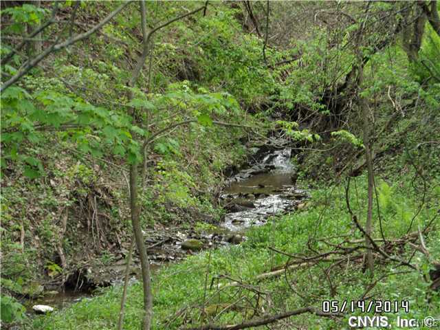 3460 Curtis Road Onondaga, NY 13215 - Photo 1 of 1 Backyard Scenic steams, woods throughout