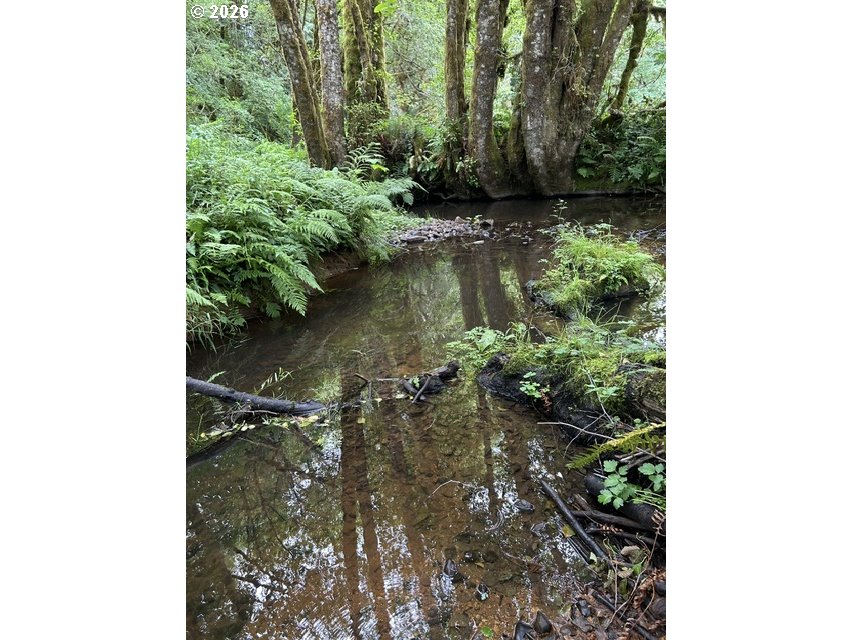 82467 Crowder Road Seaside, OR 97138 - Photo 20 of 21 Gallery Image 20