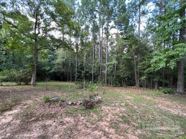 68860 Scranage Road Atmore, AL 36502 - Photo 21 of 22