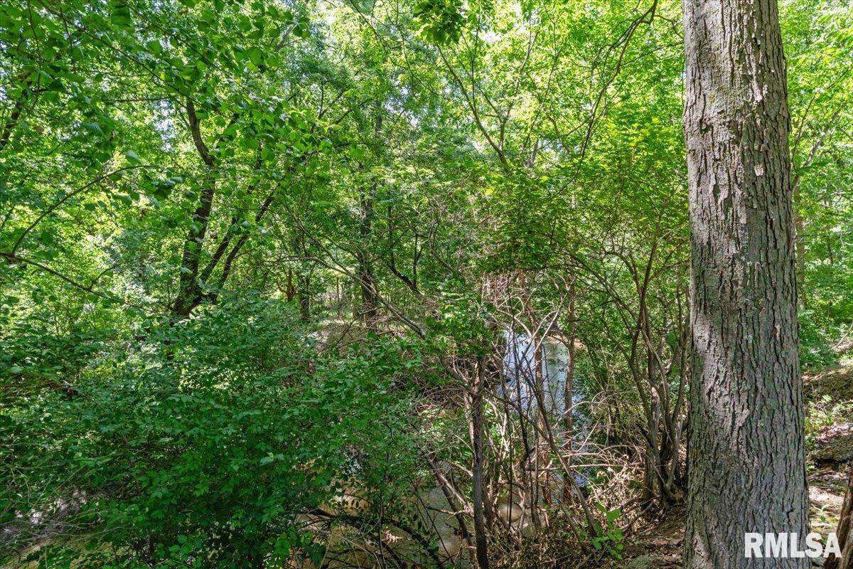 3880 Moose Cry Road Auburn, IL 62615 - Photo 65 of 74
