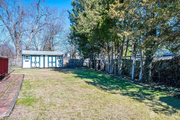 a view of a yard with plants and tree