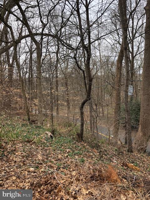 5221 Wyoming Road Bethesda, MD 20816 - Photo 4 of 24 View of trees from high on the hill!