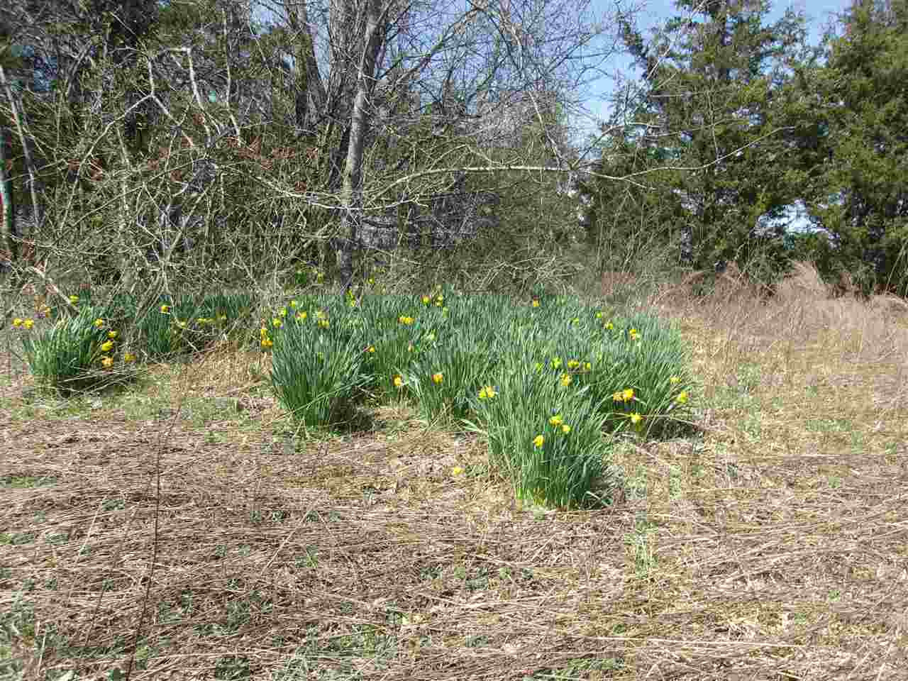 50-ac Central Ridge Road Mount Olivet, KY 41064 - Photo 16 of 30 Gallery Image 16
