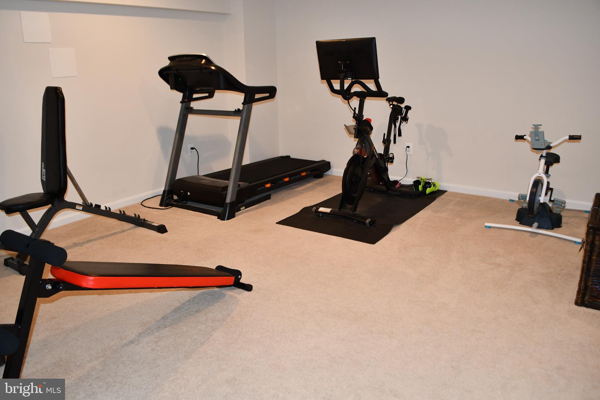 848 Chestnut Ridge Drive Magnolia, DE 19962 - Photo 26 of 38 a room with gym equipment and a mirror