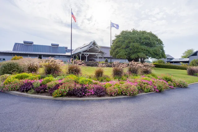 a view of a garden with flowers