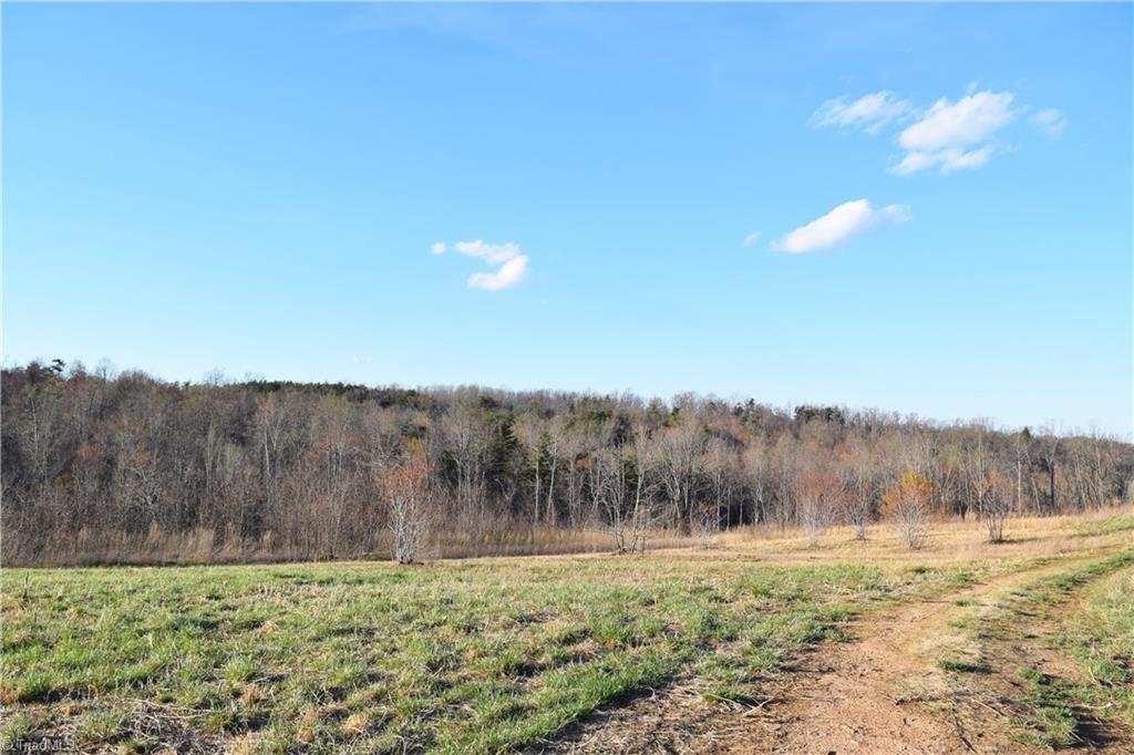 31.05-ac Garrett Road Stoneville, NC 27048 - Photo 1 of 24 Gallery Image 1