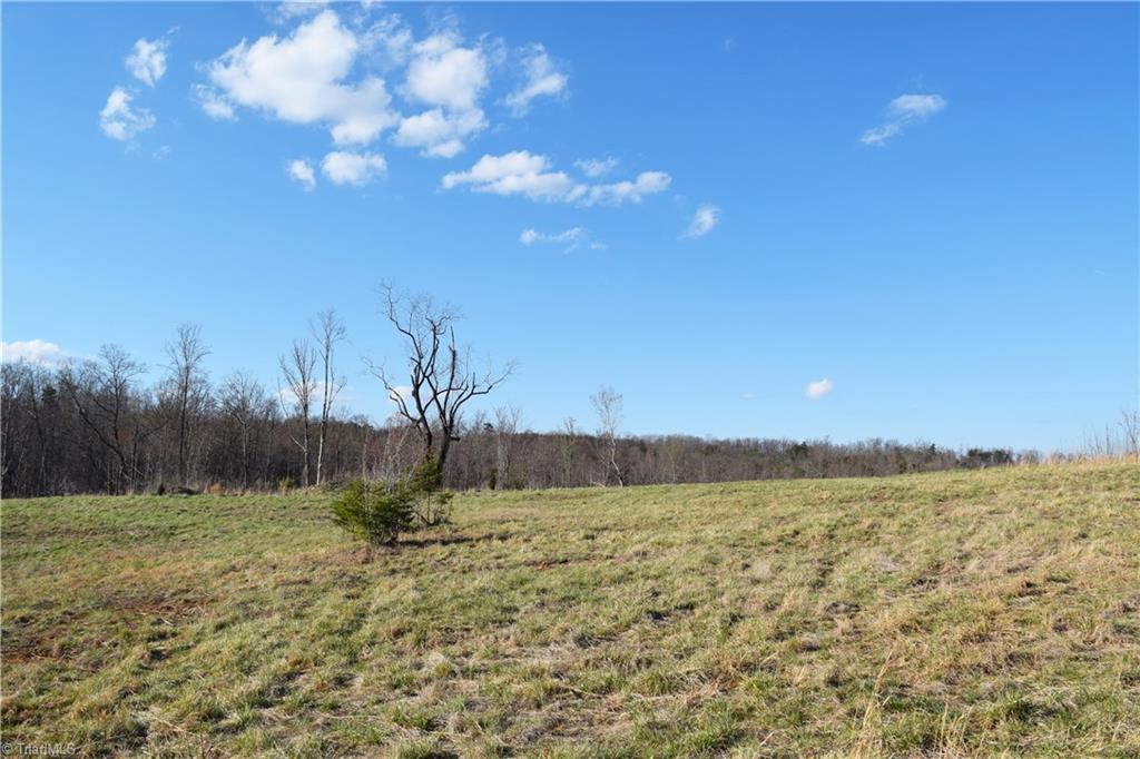 31.05-ac Garrett Road Stoneville, NC 27048 - Photo 3 of 24 Gallery Image 3