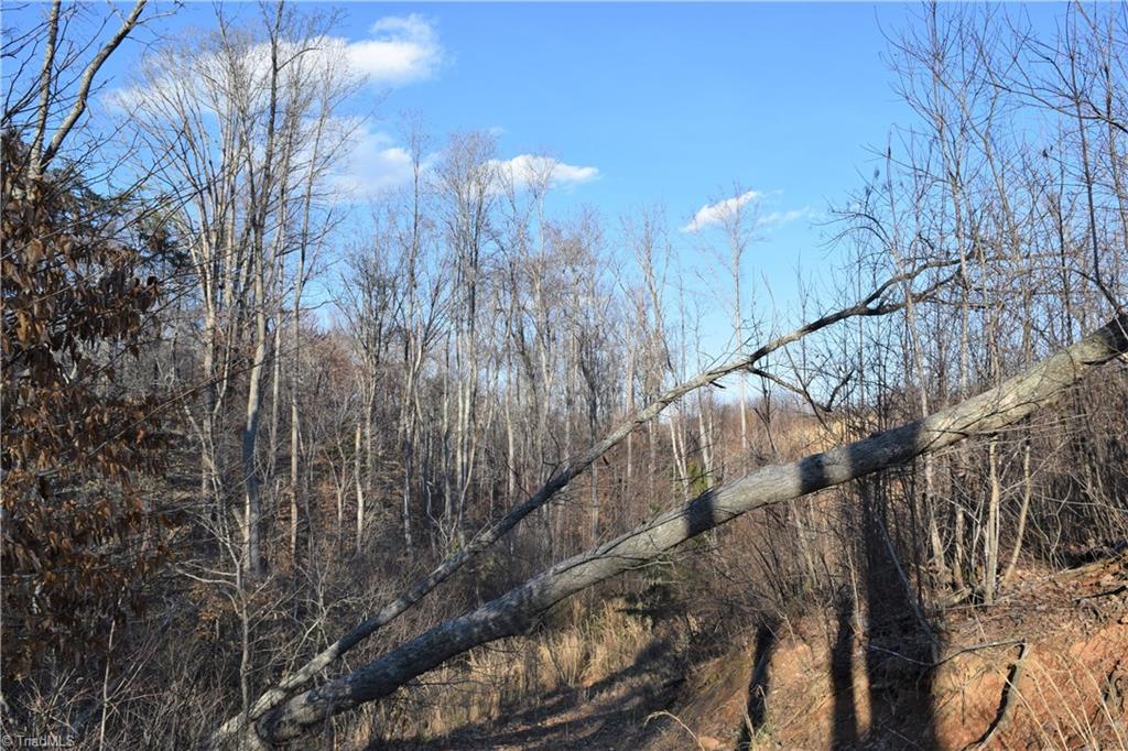 31.05-ac Garrett Road Stoneville, NC 27048 - Photo 22 of 24 Gallery Image 22
