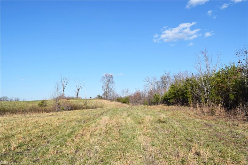 31.05-ac Garrett Road Stoneville, NC 27048 - Photo 4 of 24 Gallery Image 4
