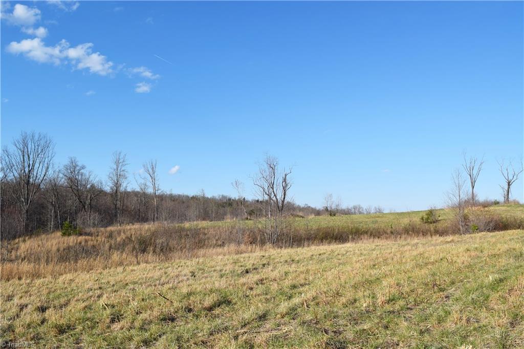 31.05-ac Garrett Road Stoneville, NC 27048 - Photo 5 of 24 Gallery Image 5