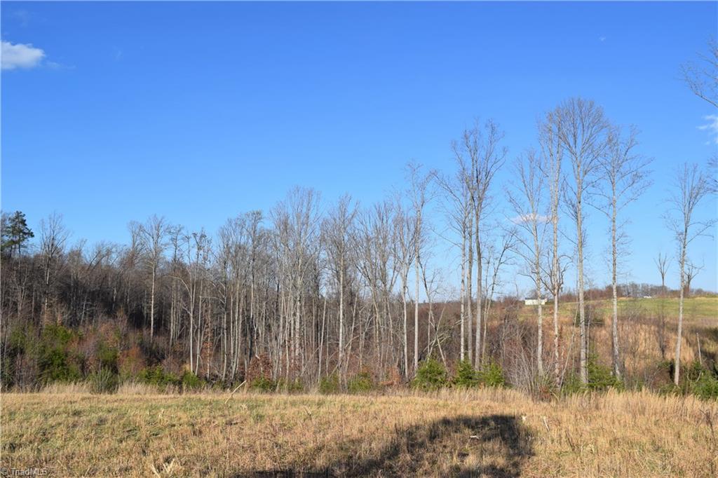31.05-ac Garrett Road Stoneville, NC 27048 - Photo 7 of 24 Gallery Image 7