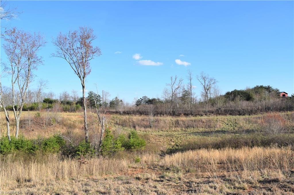 31.05-ac Garrett Road Stoneville, NC 27048 - Photo 8 of 24 Gallery Image 8