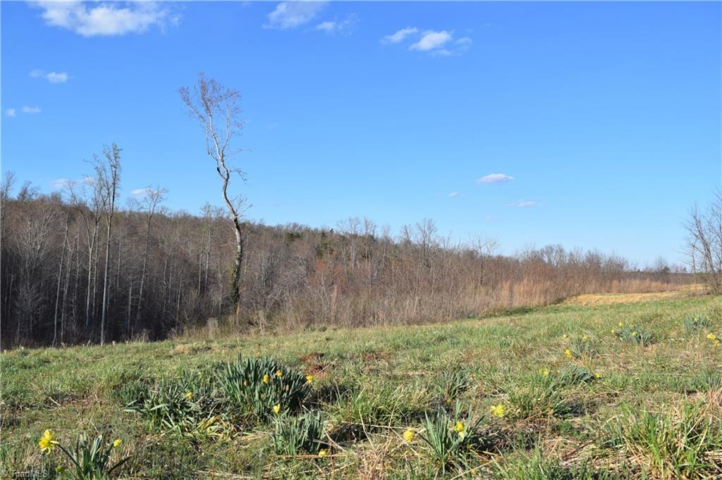 31.05-ac Garrett Road Stoneville, NC 27048 - Photo 9 of 24 Gallery Image 9